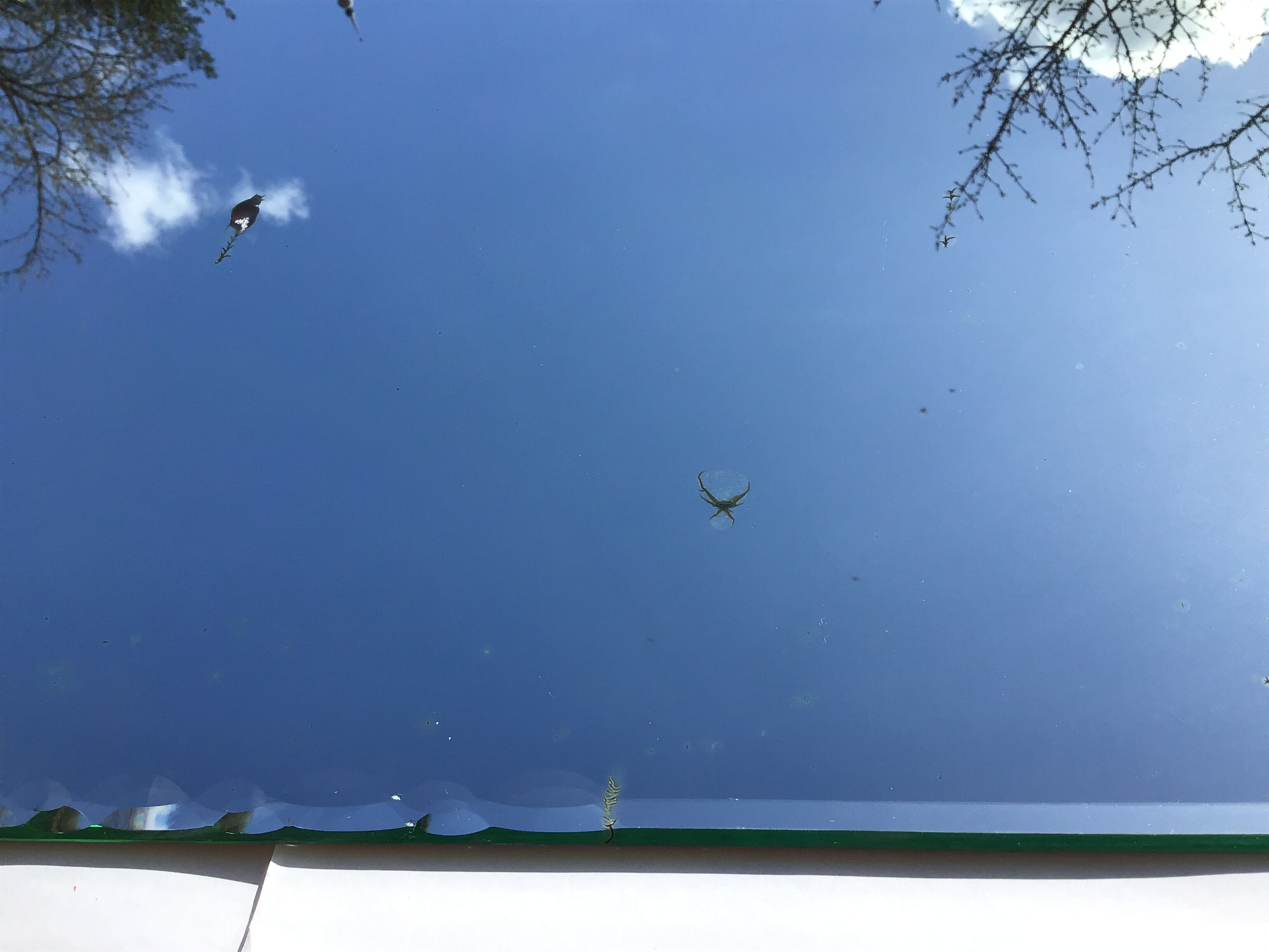 Bevelled mirror trapeze two waves at the top