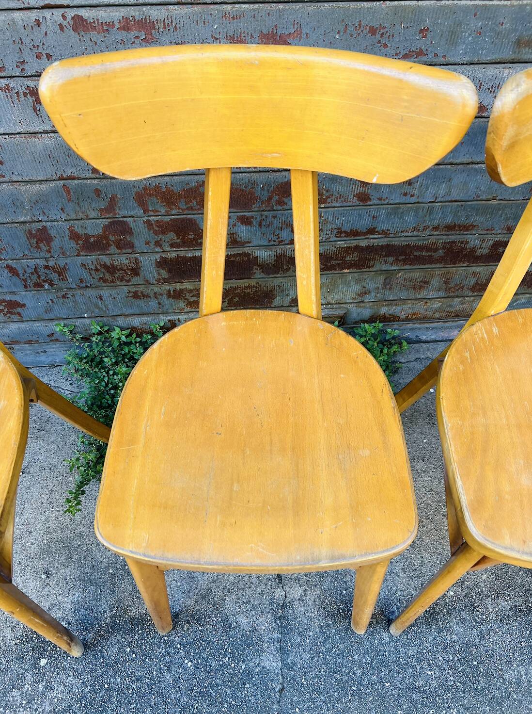 (Lot) 6 Bistro Chairs Lutherma Banana (Light Oak)