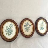 Illustration frames