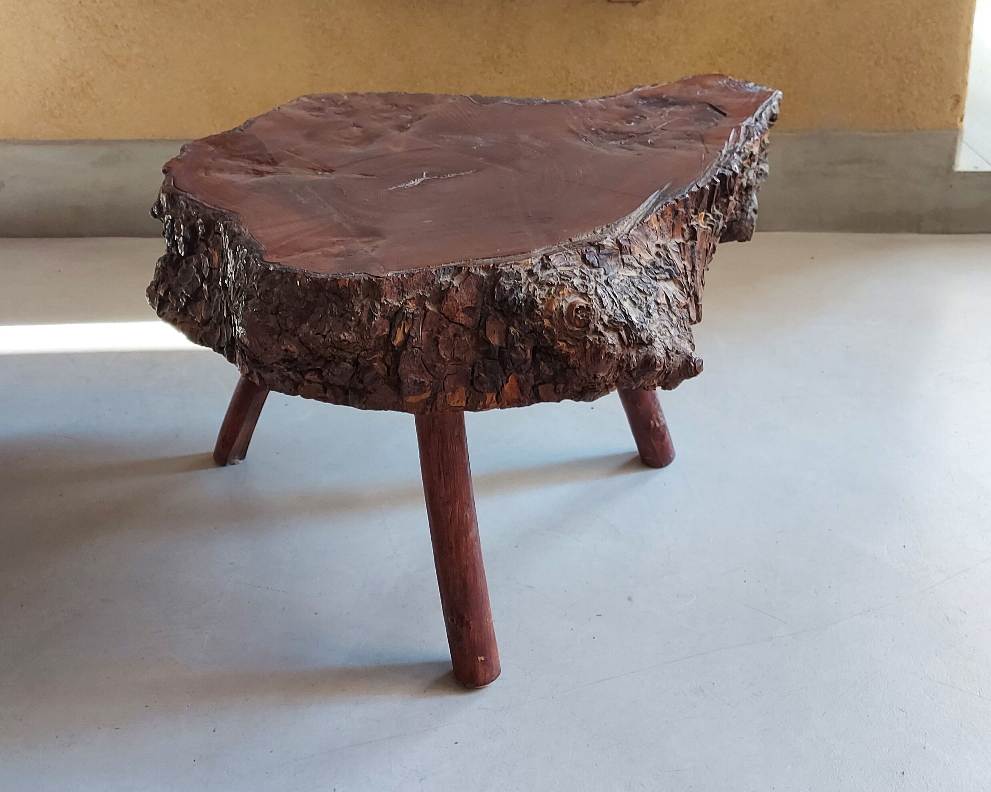 Vintage brutalist coffee table in elm magnifying glass