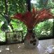 Vase Joma art deco signed