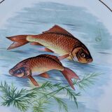 Service à poisson en Gien