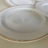 Limoges porcelain plates
