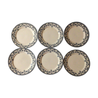 Lot of 6 plates of hazelnut sarreguemines iron earth