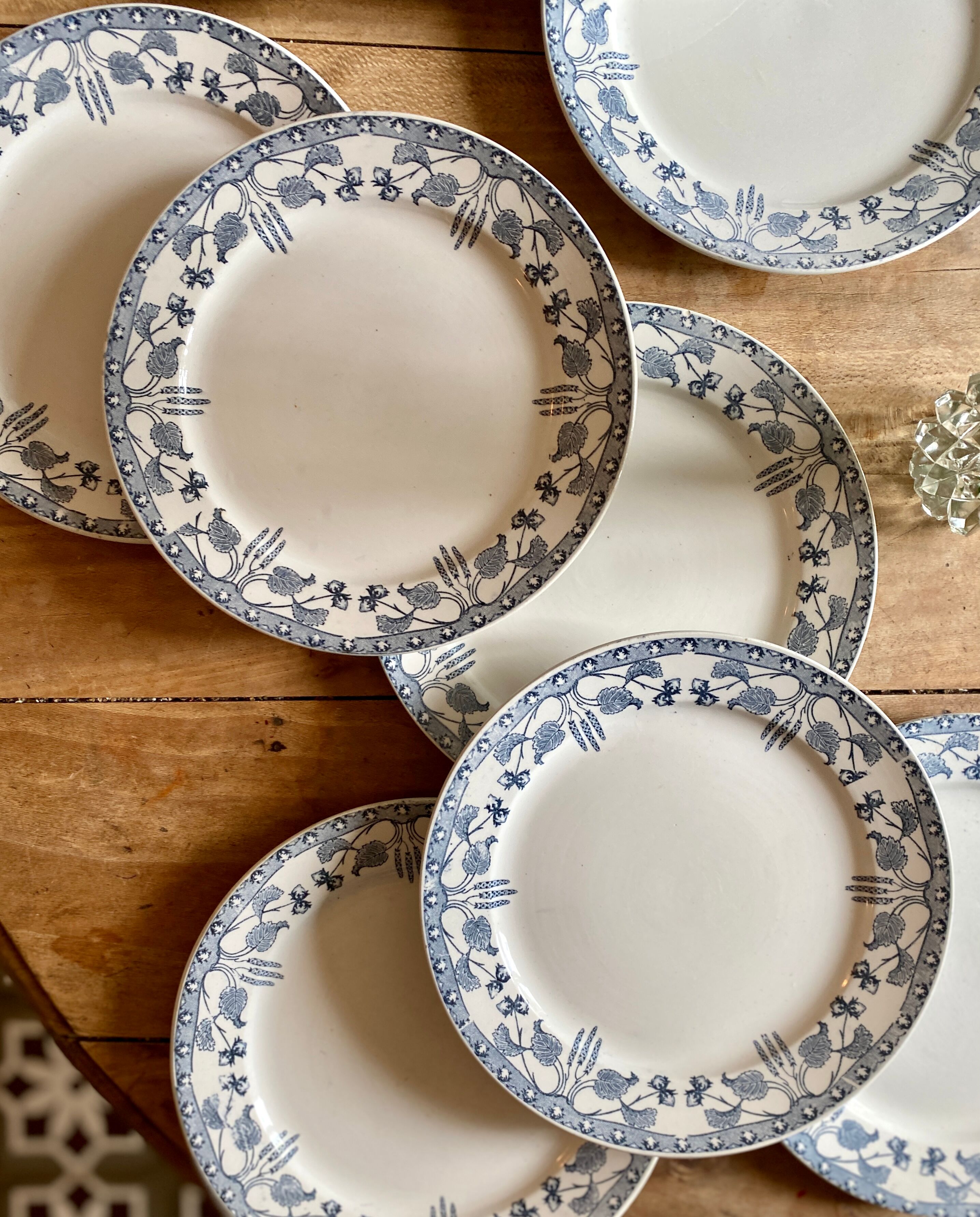 Set of 10 old flat plates in iron earth, model Noisette de Sarreguemines