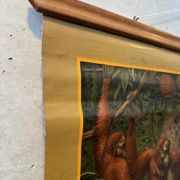 Vintage linen school chart – On Borneo