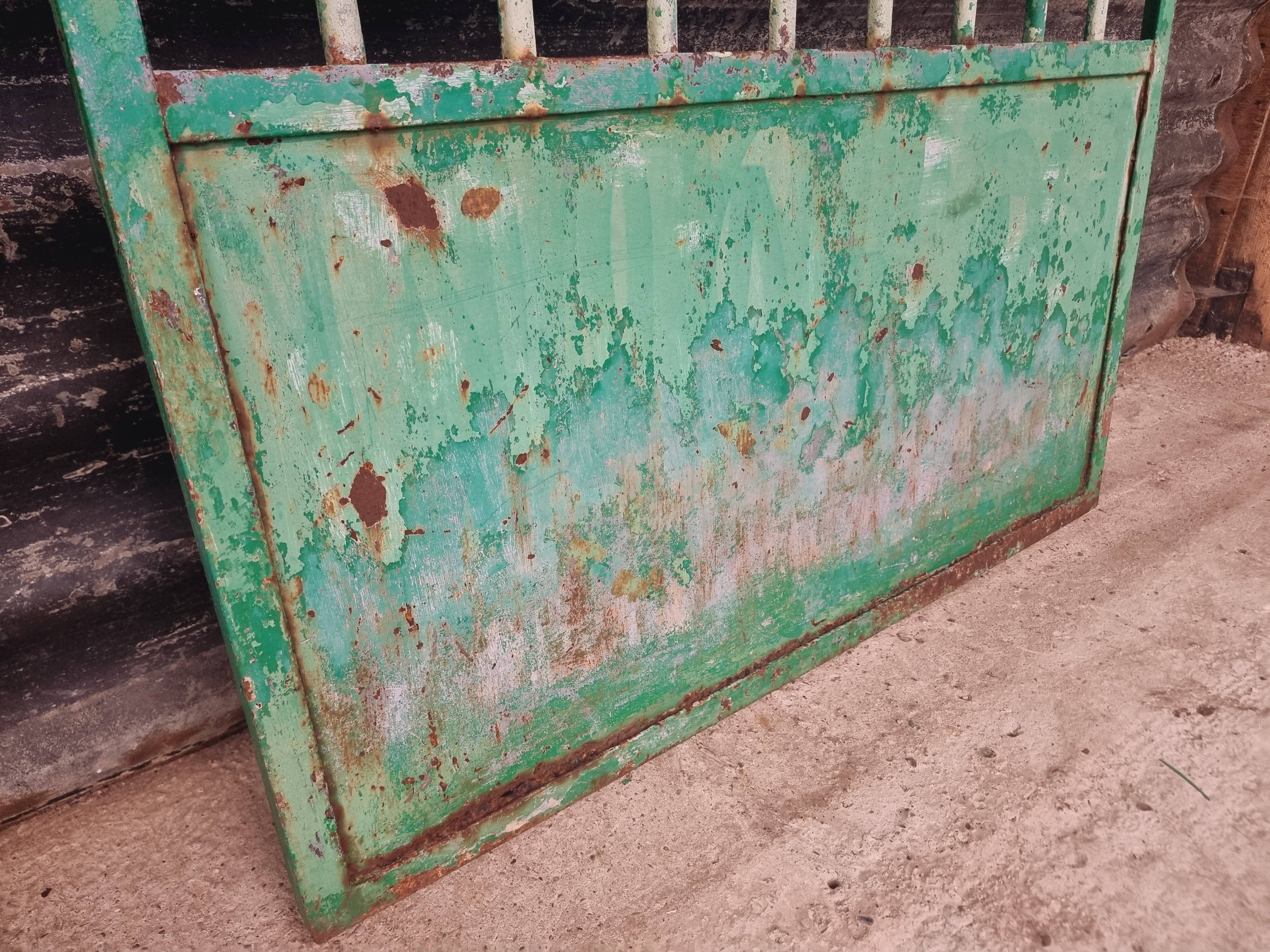 Antique garden gate iron door green 100x150cm