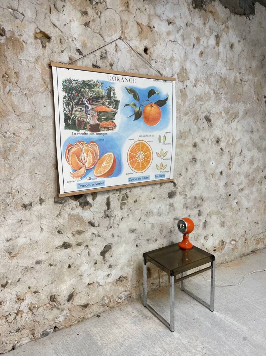 School poster the orange and the fur