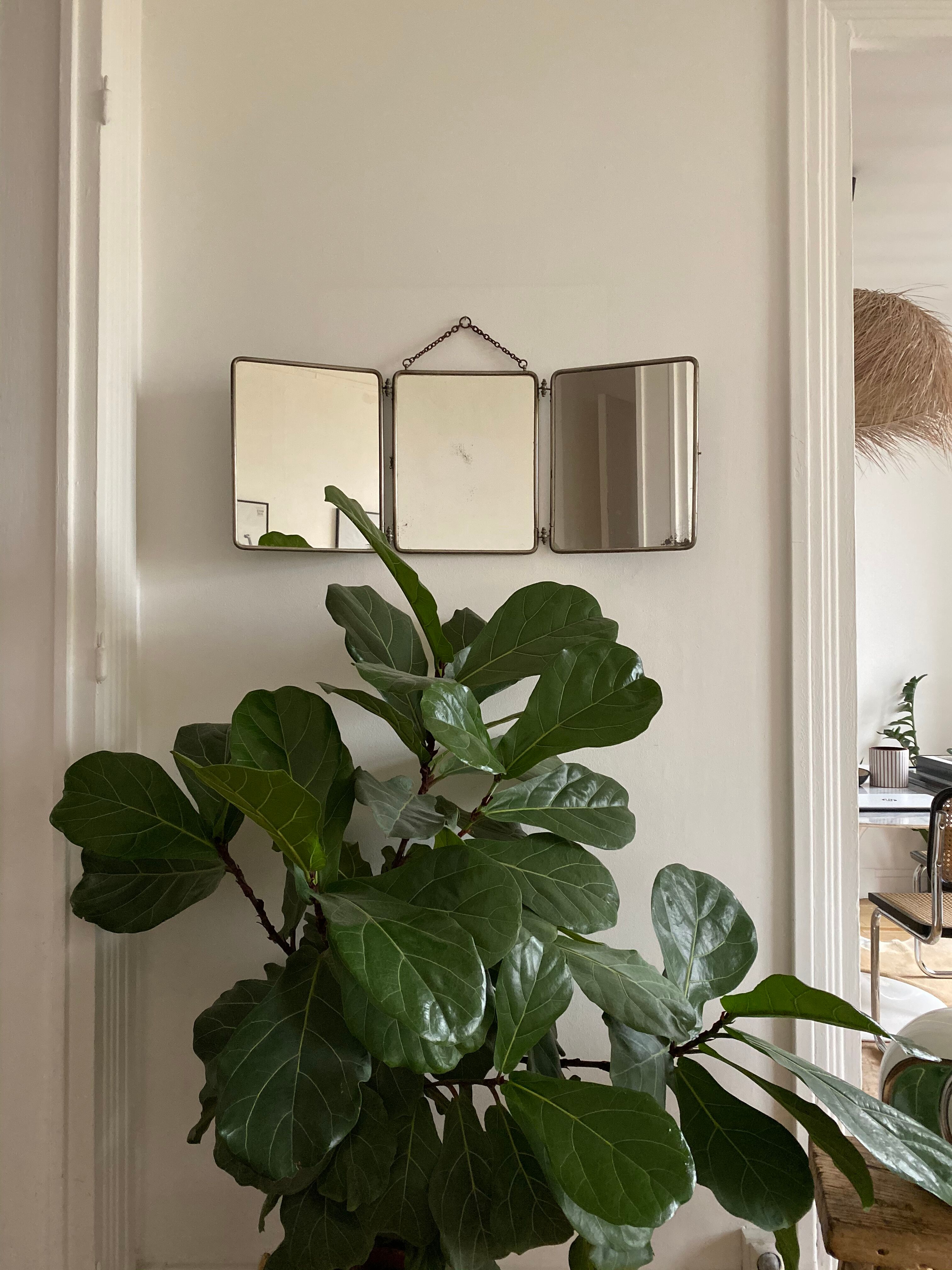 Barbier mirror