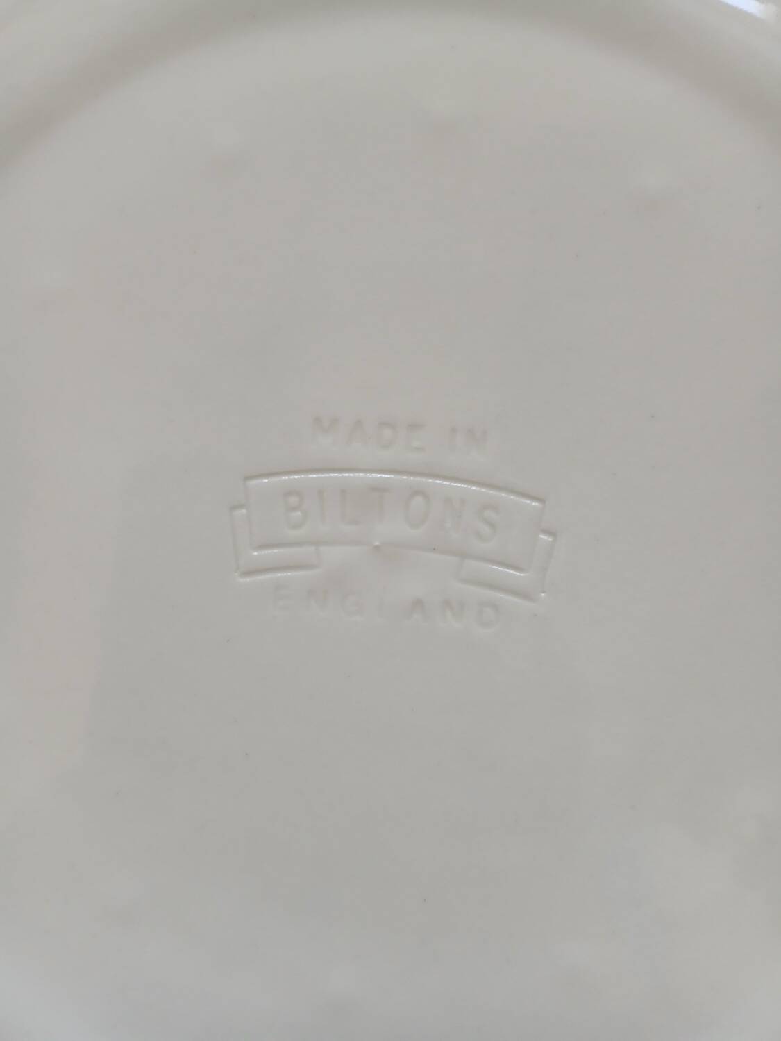 6 assiettes plates + 1 plat "Biltons " England 