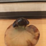 Daum frog cut