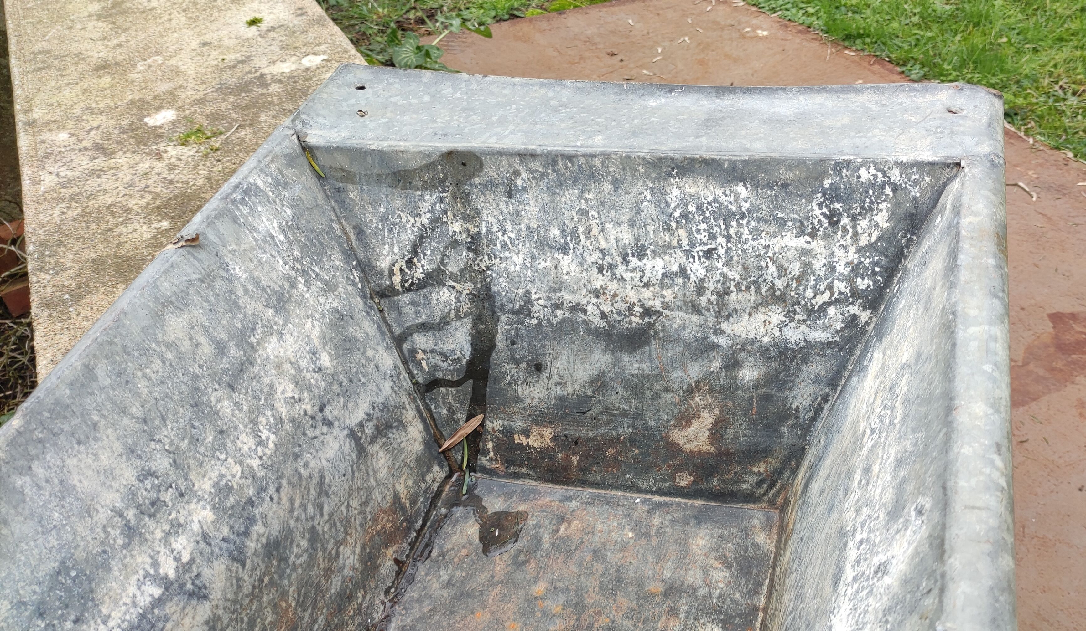 Old zinc trough/vintage planter