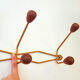 Vintage metal and wood coat rack year 50