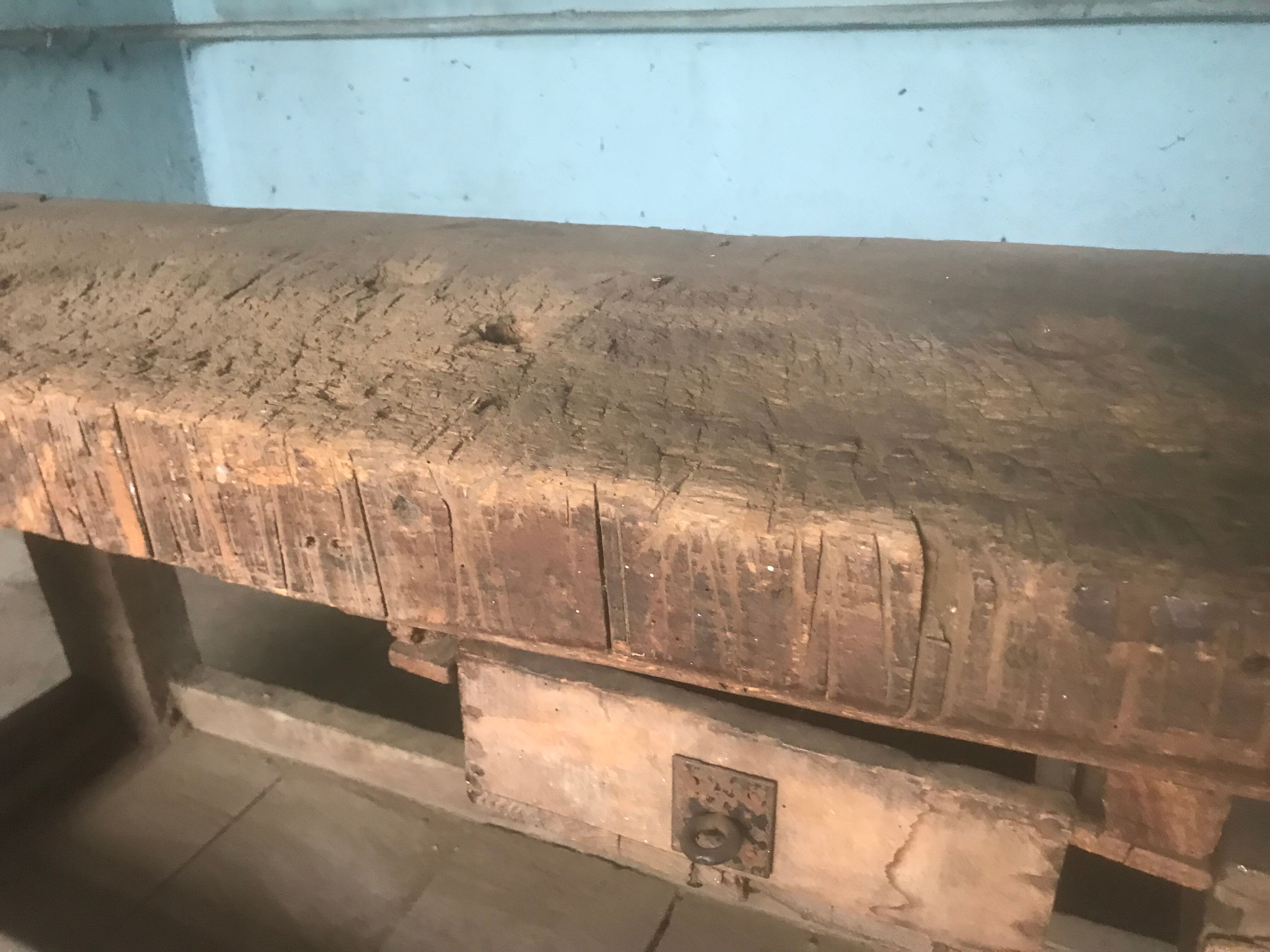 Carpenter's workbench 2m36