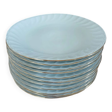 11 antique porcelain dessert plates