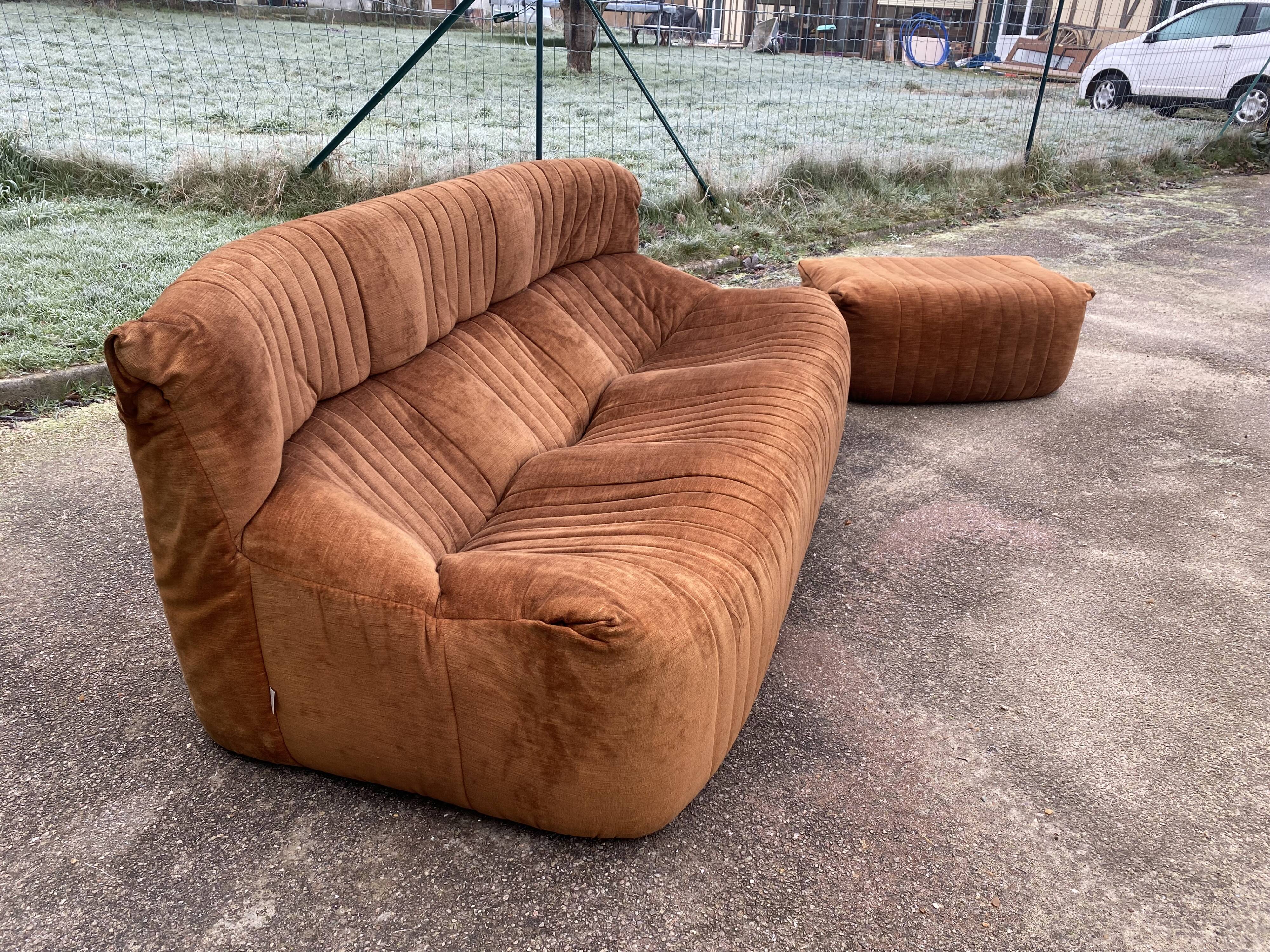 Sofa and pouf Aralia by Michel Ducaroy, Ligne Roset edition