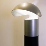 Metal Lacquered Floor Lamp Franco Buzzi Ceriani style - 1970s