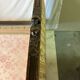 Antique Louis XVI style daybed in carved wood and patterned fabric