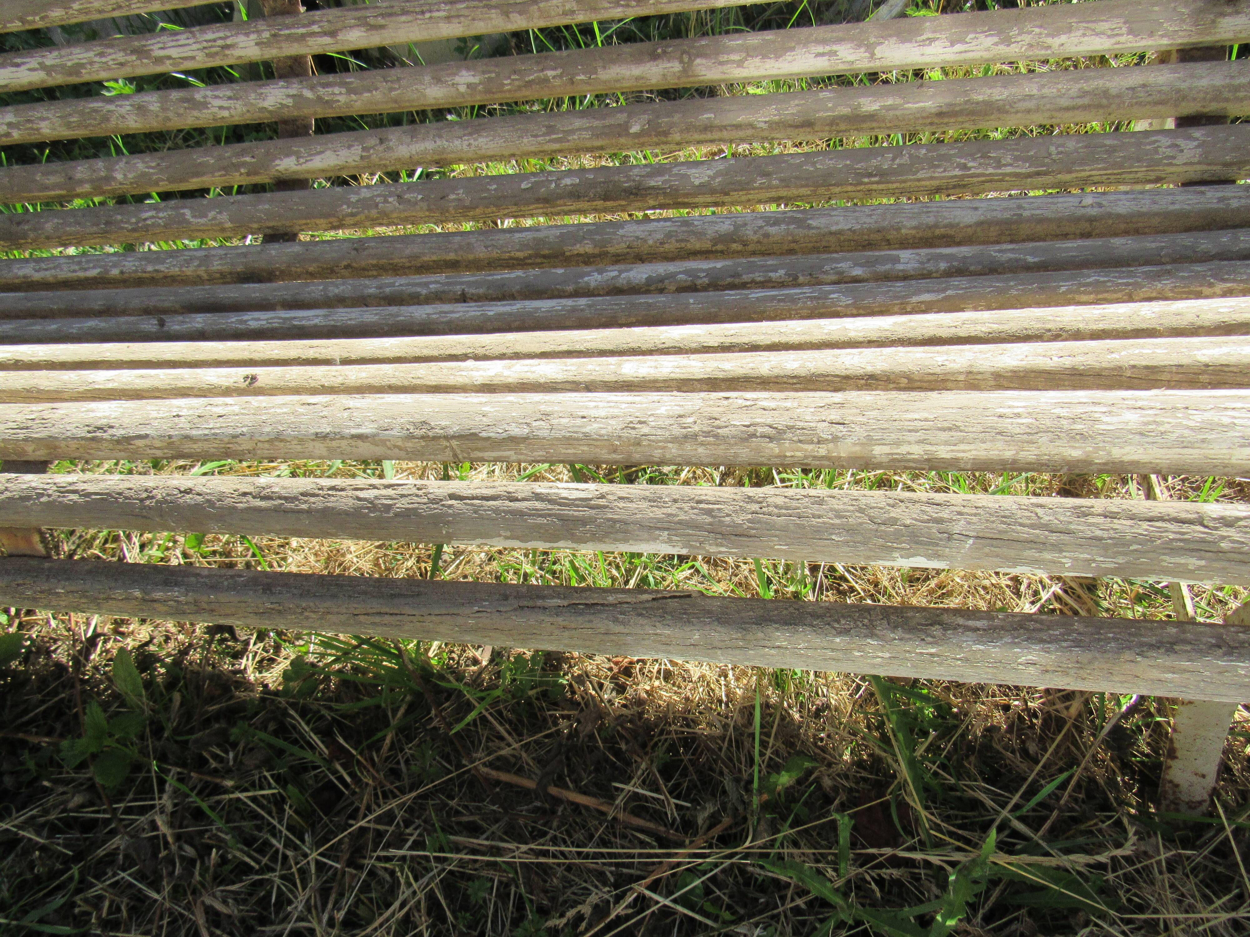Bench
