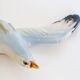 Seagull, wall decoration, vintage ceramic