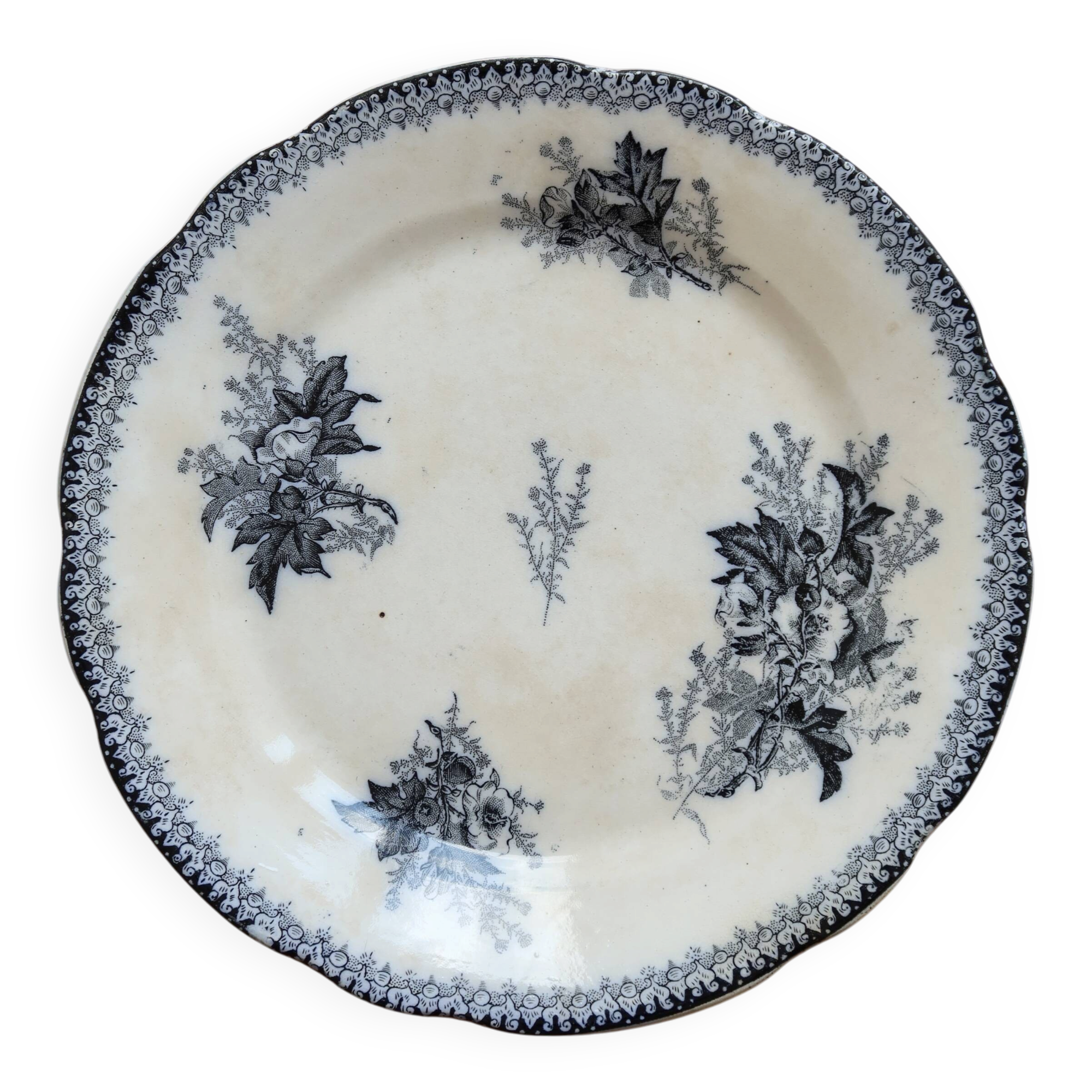 Flat plate iron earth Onnaing - Blue-black plant decoration on ivory background