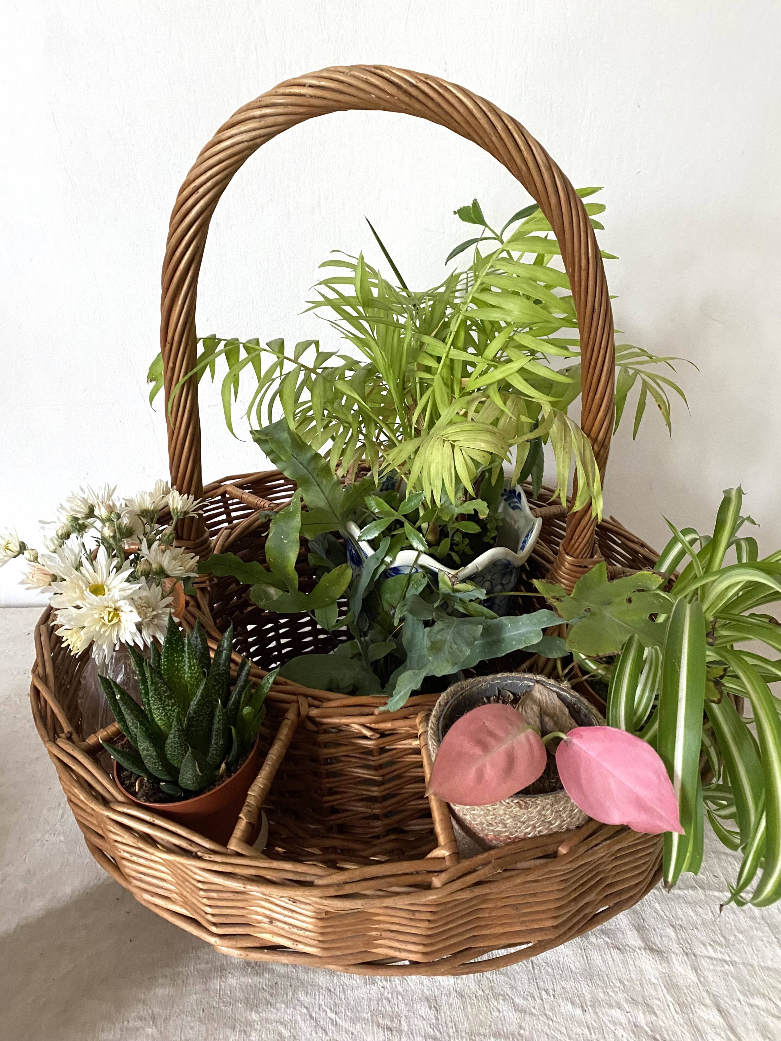 Bar basket or plant holder in woven wicker