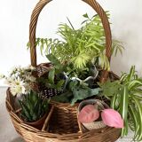 Bar basket or plant holder in woven wicker