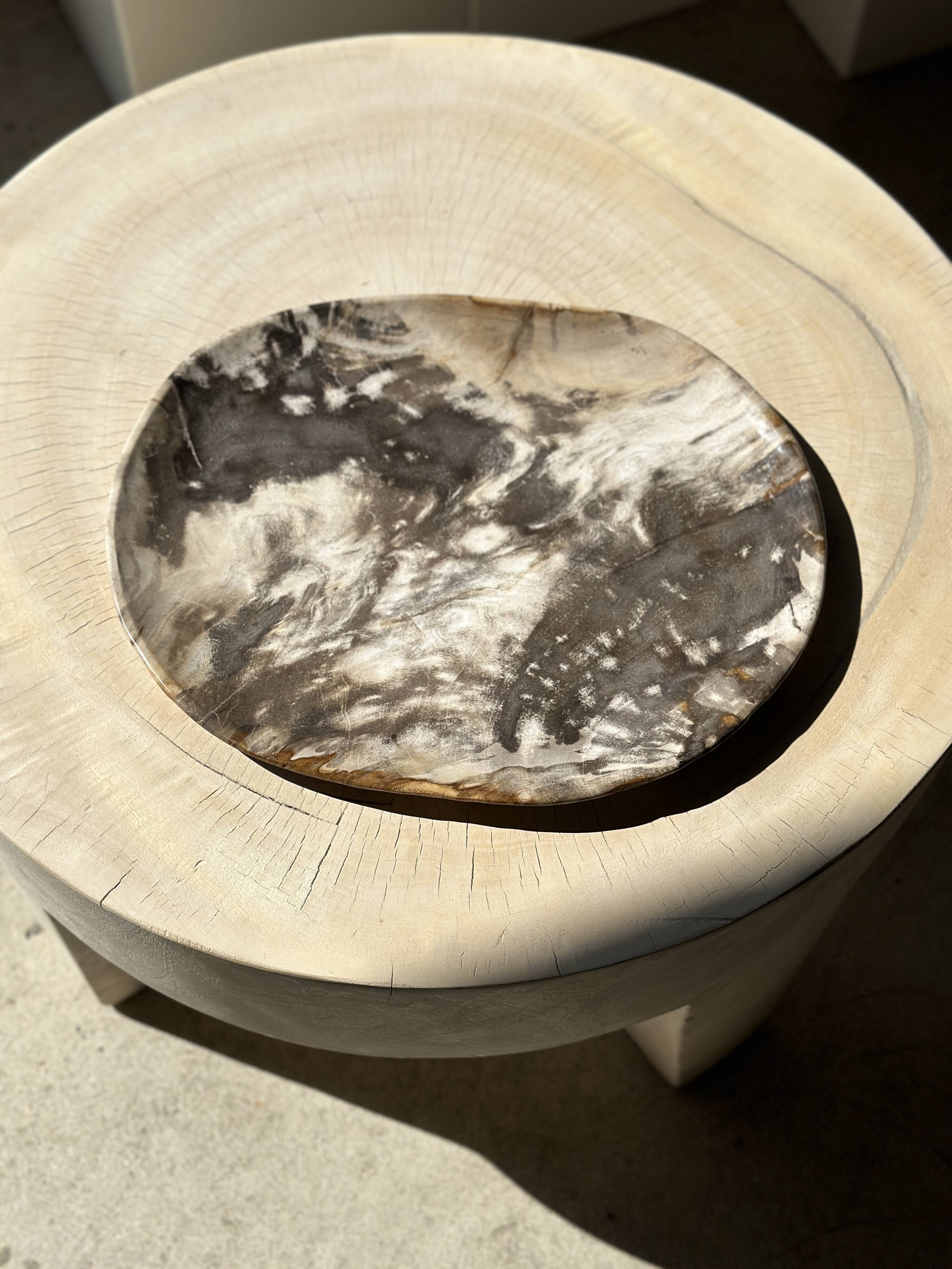 Very large pocket or dish in petrified wood