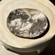 Very large pocket or dish in petrified wood