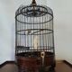 Cage Asia