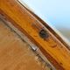 Art Nouveau office chair with curved wood attributed to J&J Kohn, 704 1/2 4V