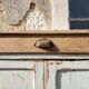 Buffet parisien patine ancienne " anglet "