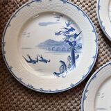 Assiettes en Terre De Fer