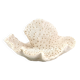 Vintage natural white coral, curiosity cabinet, 1970s