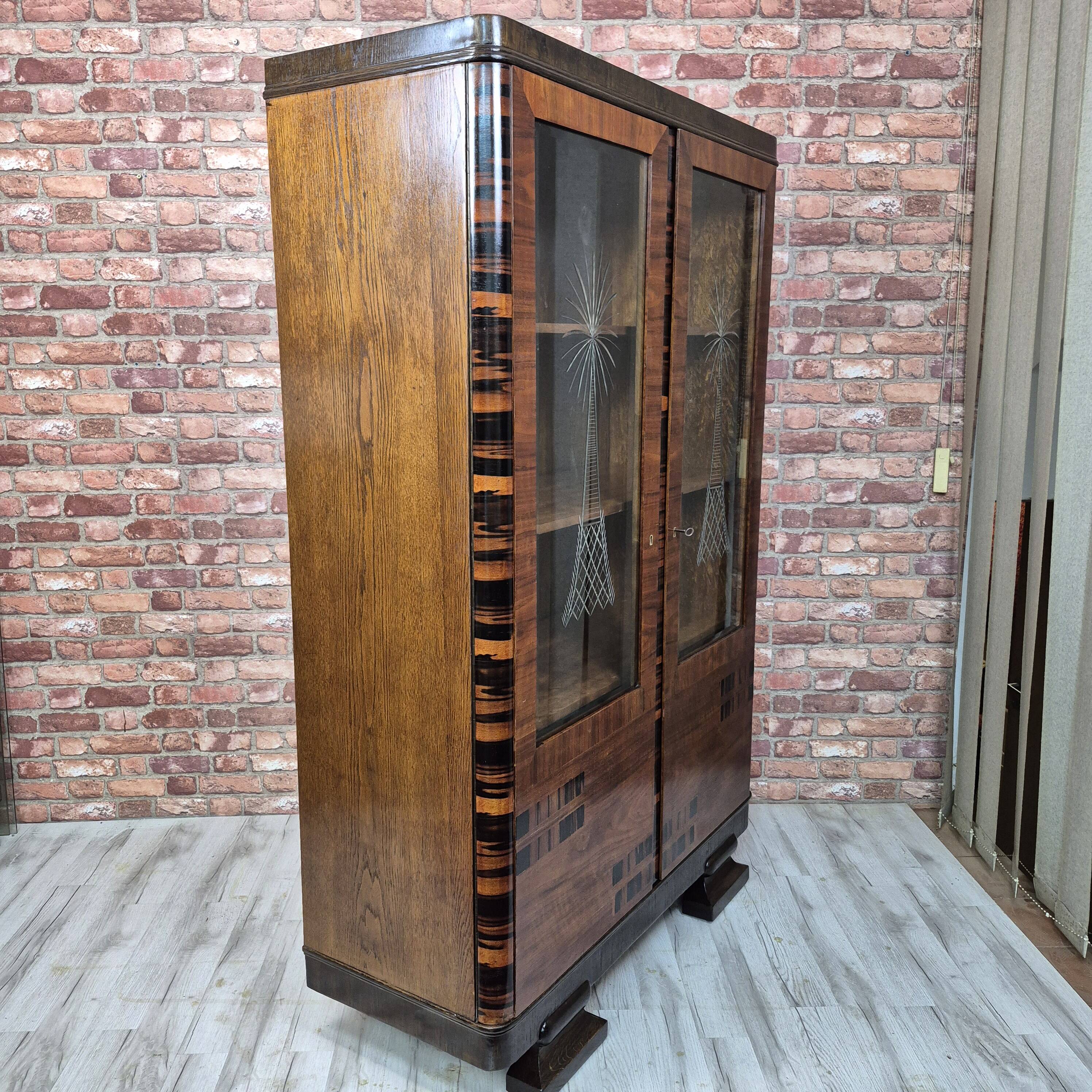 Art Deco Display Cabinet in Caucasian Walnut, Macassar Ebony and Oak, c. 19