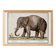 Small poster about an elephant, based on an old engraving from 1610.