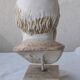 Greek bust of Socrates