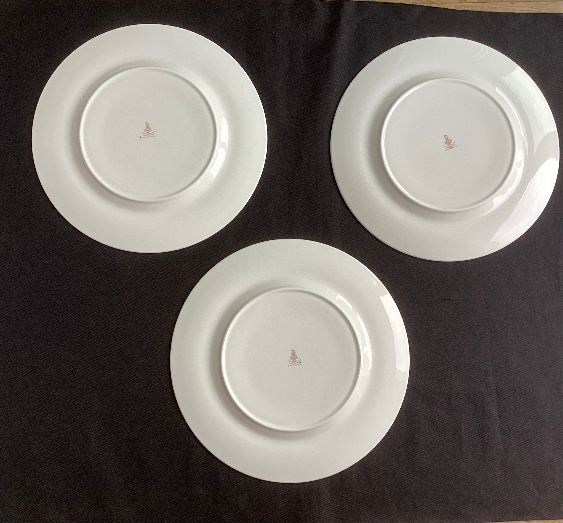 Large fine porcelain plates Royal Doulton Darjeeling