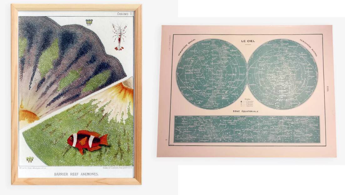 A lot of a lithograph on the sky and a poster on anemones.