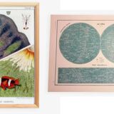 A lot of a lithograph on the sky and a poster on anemones.