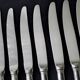 8 Table knives Stainless steel Guy Degrenne Pearl Decor