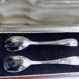 Silver metal salad cutlery set