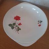 Vegetable soup Digoin Sarreguemines Sthendal