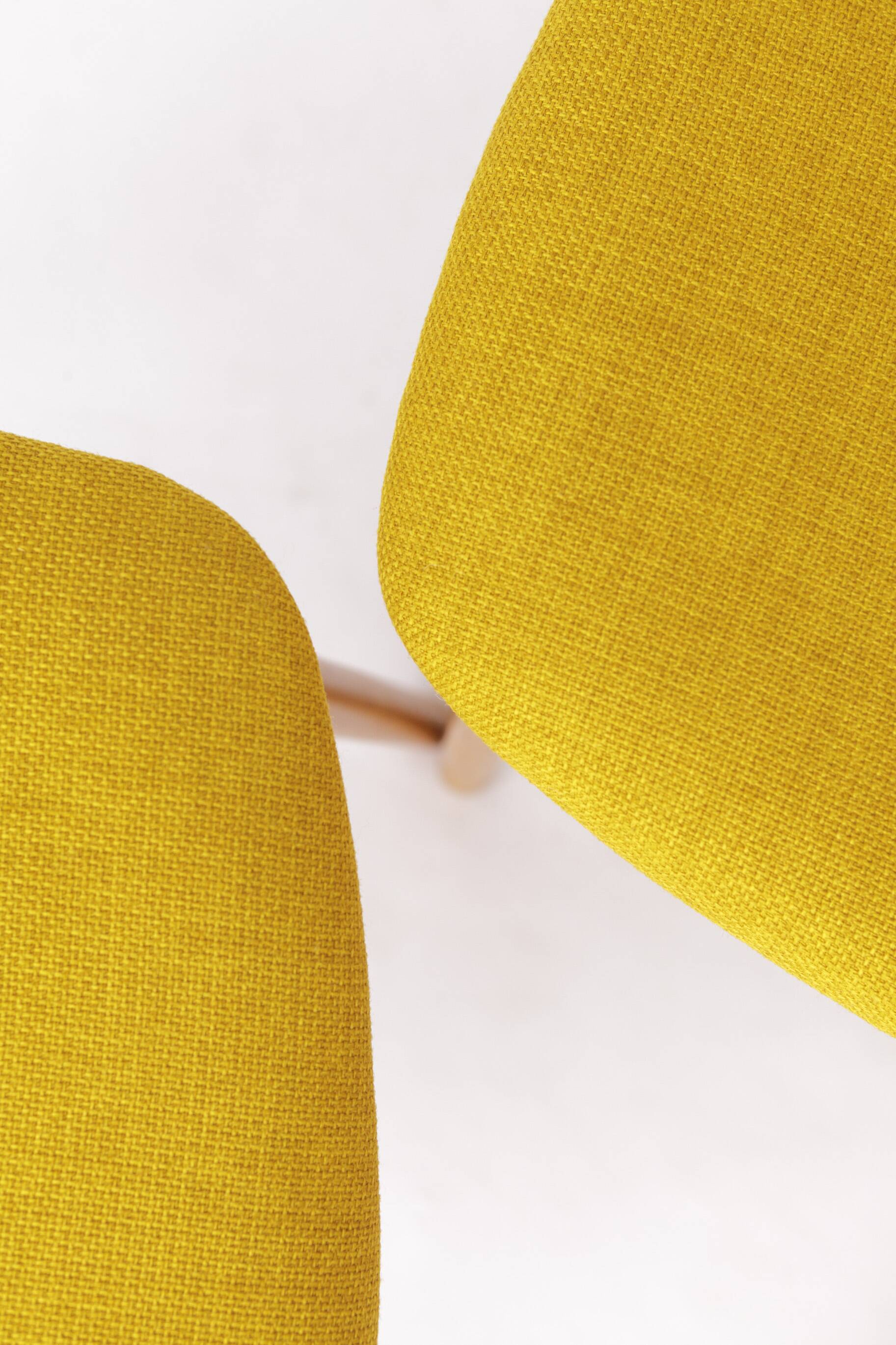 2 Vintage Chairs Casala, 1970s, Germany