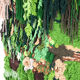 Large tapestry "green wall"