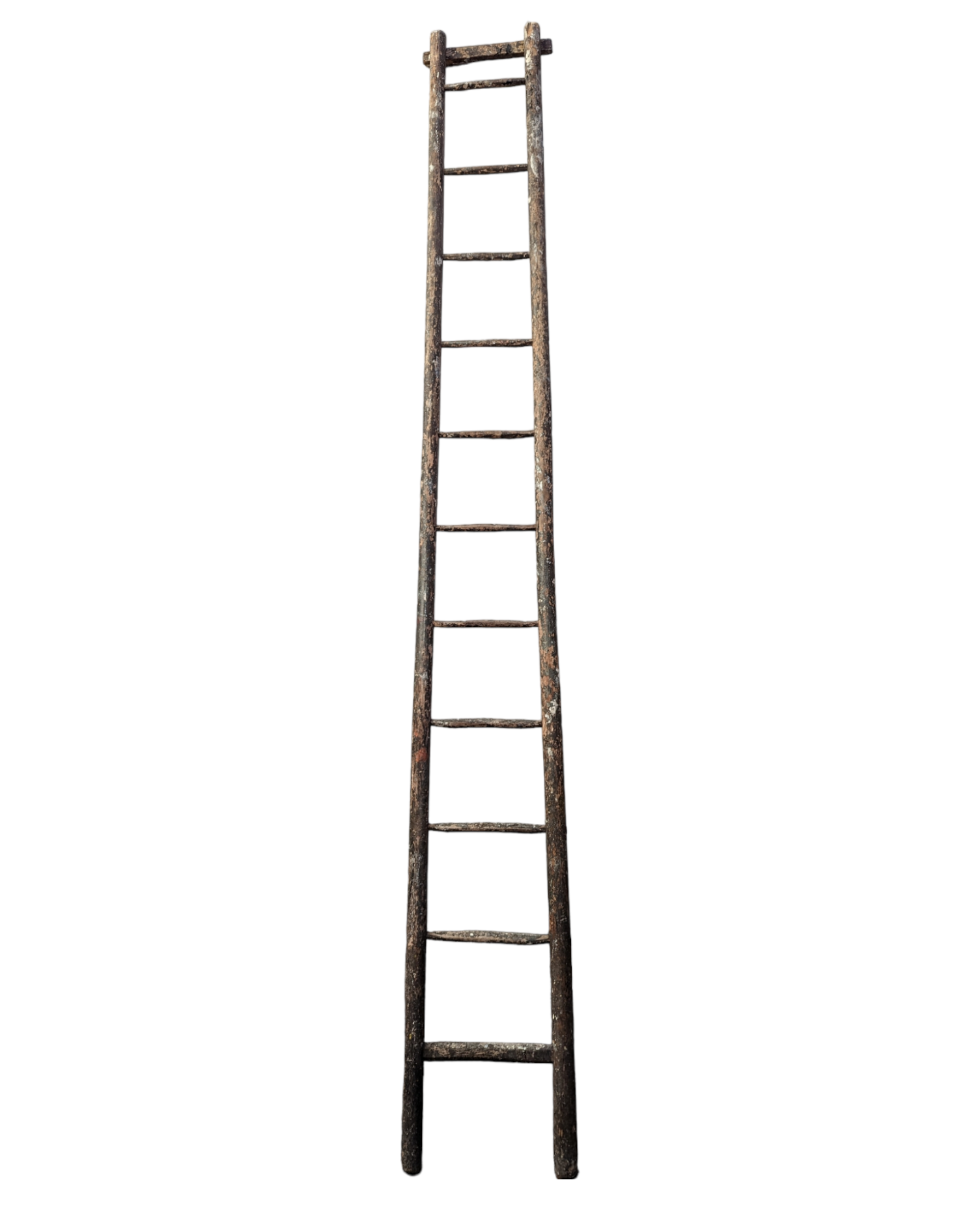 Painter's ladder