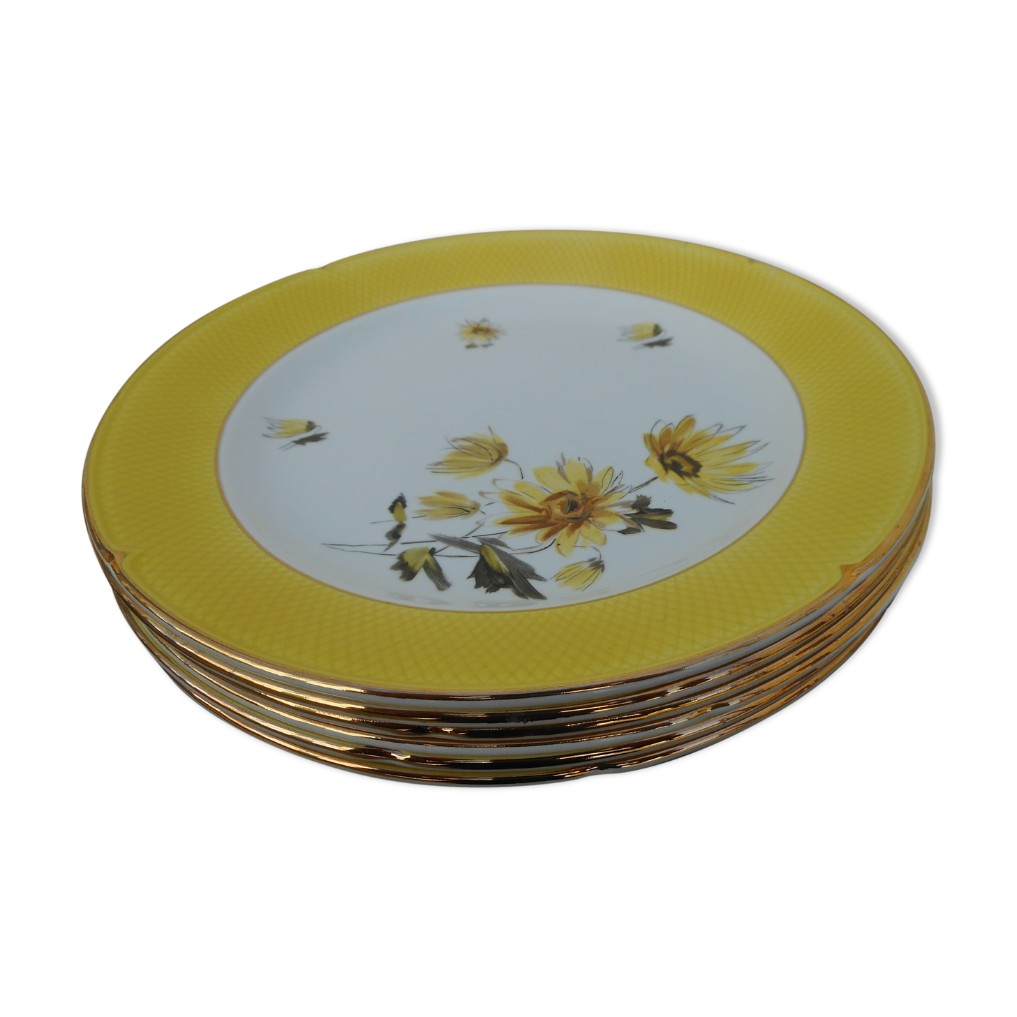 Six flat plates made of "Salins" earthenware