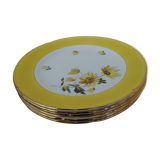 Six flat plates made of "Salins" earthenware