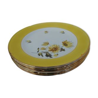Six flat plates made of "Salins" earthenware