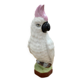 Old parrot piggy bank